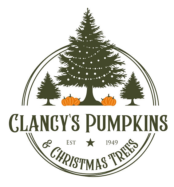 Guide to Christmas Tree Farms San Francisco Bay Area